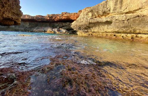 Casa Estrella de Mar - Foto 38