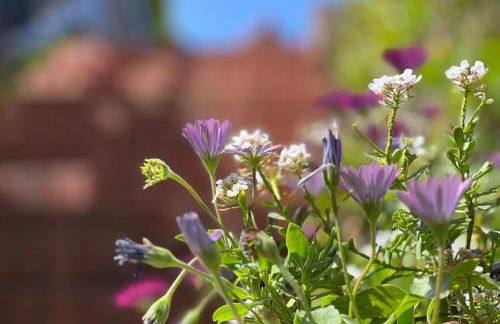 Apartamento Pueblo del Sol - Monabri - Foto 22