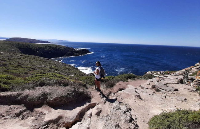 Ons Island Boat Transfer - Photo 2