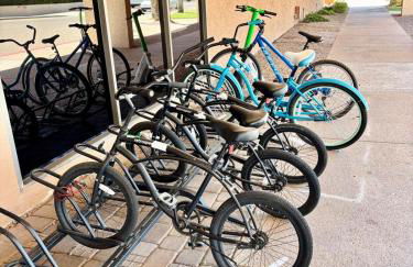 Saguaro & Sage - Foto 21