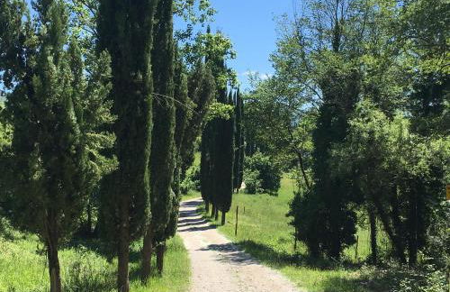 Podere Terreno alla Via della Volpaia - Foto 128