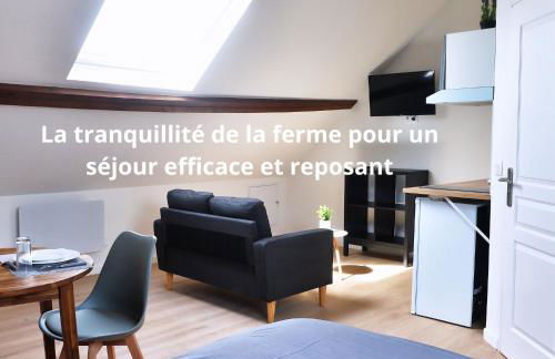 ZenkaSerenity-Ferme paisible Centre CHU-wifi-pro - Foto 1