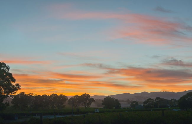 Barossa Shiraz Estate - Photo 50