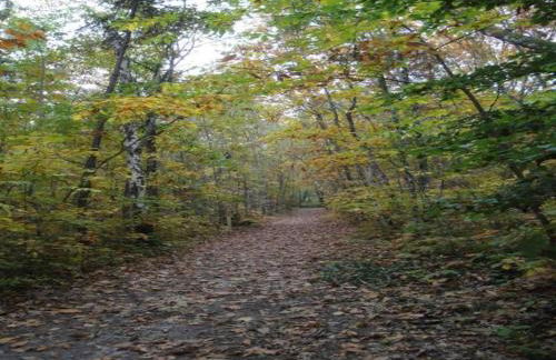 Holiday Home in Chilleurs near Château - Foto 32