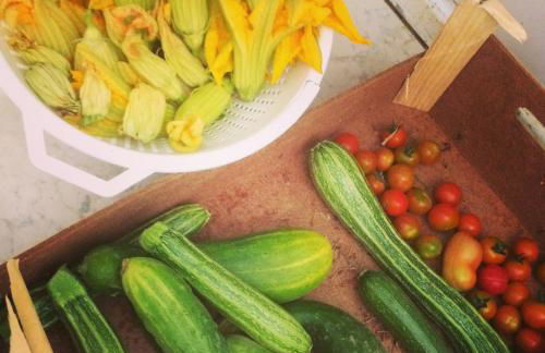 Agriturismo Palazzo Bandino - Wine cellar, on reservation restaurant and spa - Foto 53