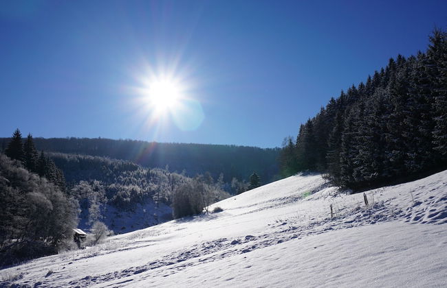 Exclusive Group House in Winterberg in the Forest - Photo 68