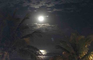 Pé na areia gaivotas com Wi-Fi - Foto 37