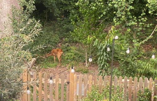 Little Woodside a beautiful New Forest self contained private luxury annexe - Foto 74