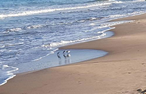 Exclusive Apartment - Playa de Marenys de Rafalcaid - Photo 47