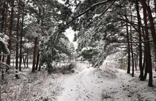 SeaYou Yellow House - Foto 69