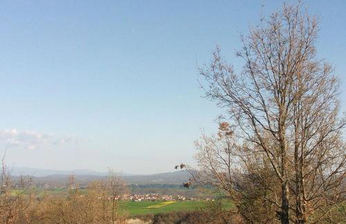 Village House Grevena - Foto 3