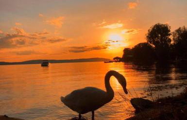 Ferienwohnungen Bohner/ Wohnung Katharina - Photo 46