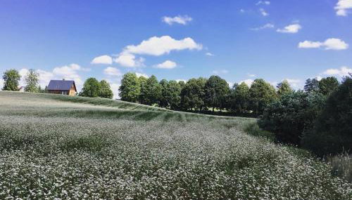Kartkówka - Foto 3