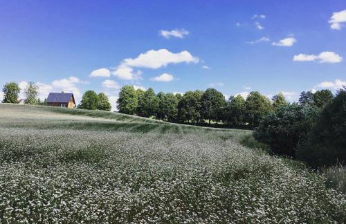 Kartkówka - Photo 3