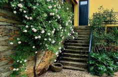 Quinta do Chao D'Ordem - Foto 7