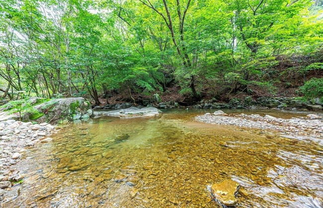 Vivaldi white house in vally - Foto 48