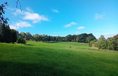 Ferienwohnung am Wald - Photo 31