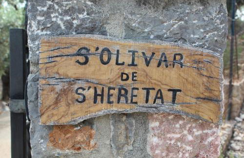OLIVAR de S’HERETAT Trekking/ruta GR-221 (ETV/2099) - Foto 31