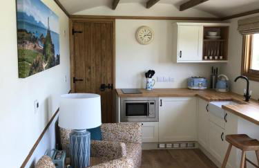 Ty Beti at Gorlan yr Efail Shepherds Hut with Private Hot Tub - Foto 7