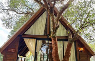 Casa na Árvore em Guarapuava - Foto 4