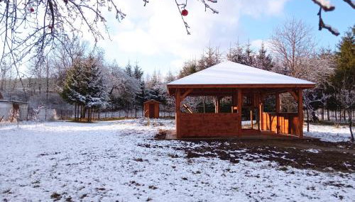 Noclegi Majowy Zakątek - Foto 5, Garden
