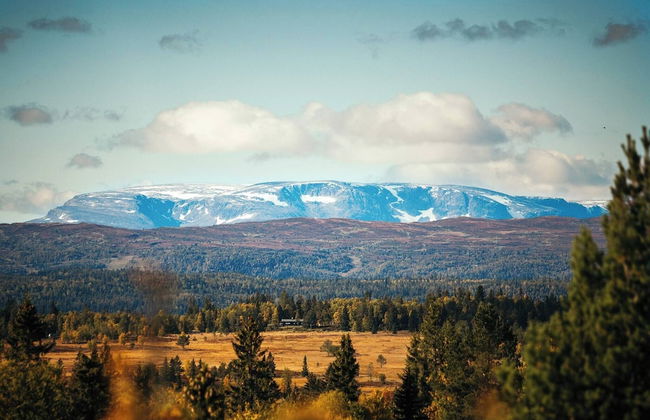 Modern Mountain Cabin - Outdoor Hot Tub - 8 Beds - Photo 54