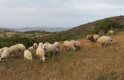 Sophia's Ralaki Cottage - Foto 26