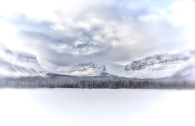 Bear Corner Lodge - Photo 25