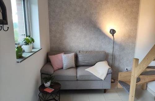 Tiny Bauernhof Plau - Foto 7