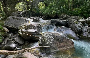 La Fontaine de l'Alpe d'Huez Gite And Spa - Photo 23