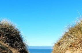 Bay Tree Cottage - cosy home near beach - Foto 16