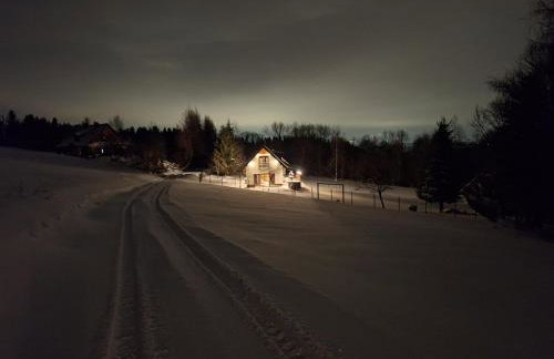 Leśna Chata domek z balią - Foto 5