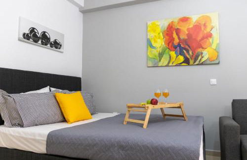 C3 Modern Spartan Apartment - Foto 12