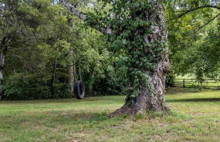 1921 Chattanooga Valley The Little Blue Farmhouse - Foto 32