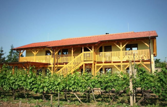 PENZION POD PALAVU - Photo 1