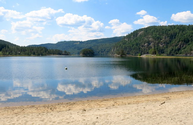 Midtholmen - Foto 36