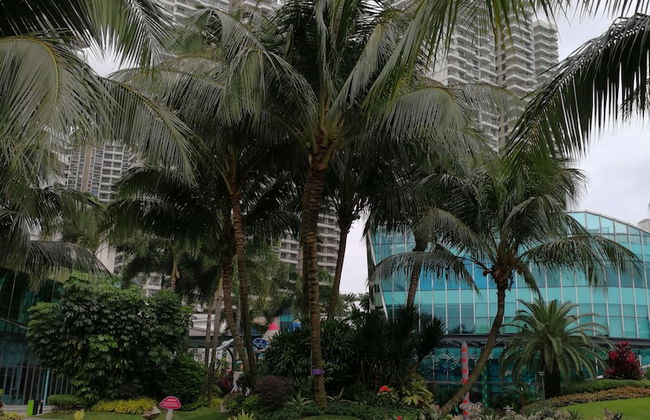 Danga Bay Country Garden - Foto 16