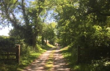 Devon Country Retreat The Linhay at Collaton Farm - Foto 42