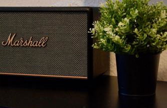 charmanter Altbau in Schleußig mit Balkon - Foto 5