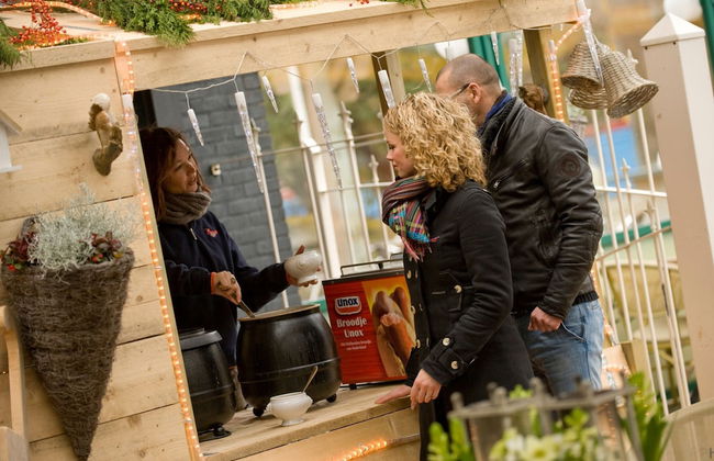 Villa in Domburg Near North Sea Beach - Photo 32