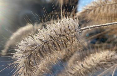 Das Seehaus Buckow - Foto 37