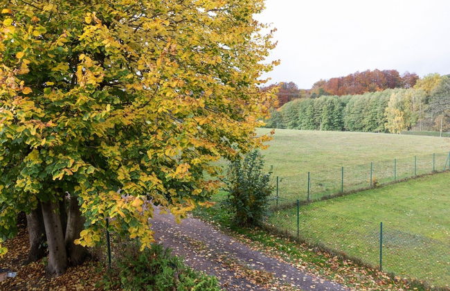 Ferienhaus im Thuringer Wald - Foto 40