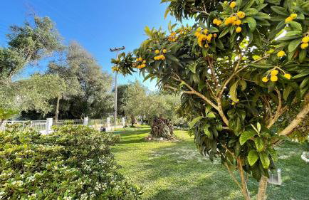 Nine Muses Apartments - Foto 36