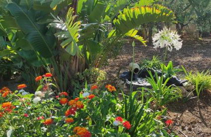 Villa Emilia - Foto 27