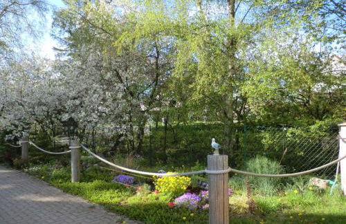 Apartment in Ribnitz-Damgarten 35179 - Foto 24