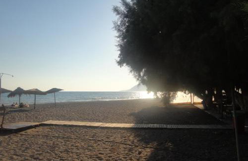 Coral Sea Apartment - Foto 32