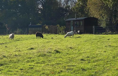 Shepherd Hut Lodge on Farm Waterside Goodwin Farm - Photo 19