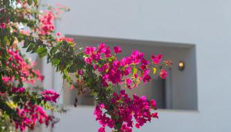 The Villa Evita Stunning View with private pool - Foto 2, Garden