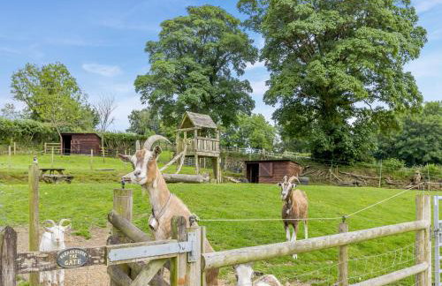 The Farmers Den - Foto 18