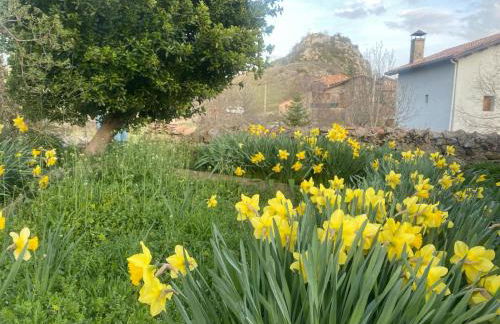 Casa Sarrano - Foto 56